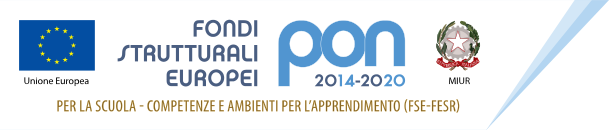 logo pon 1